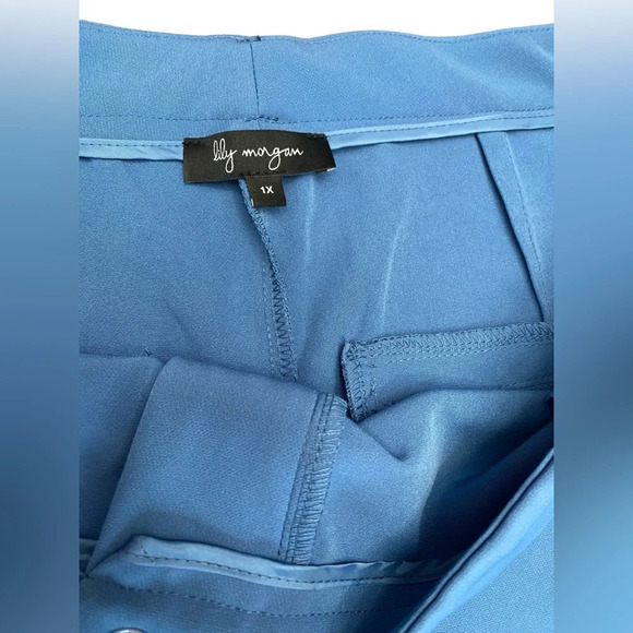NWOT Lily Morgan, Chic Plus-Size  Blue Trousers, 1X - Picture 3 of 9